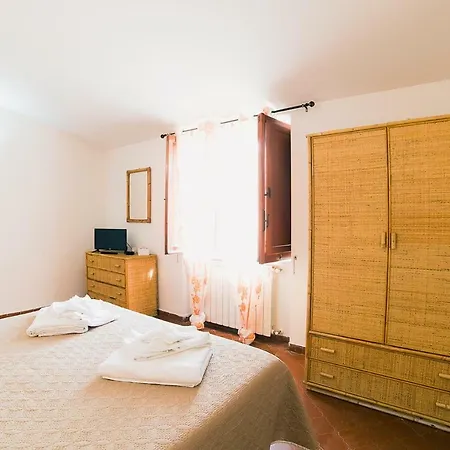 Bouganville 3*