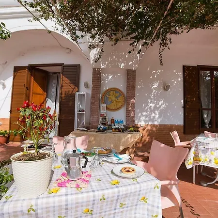 Bouganville 3*