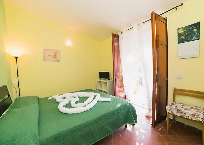 Bouganville 3*